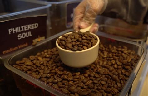 5 Amazing Things to Know About Philz Coffee: History and Origin.